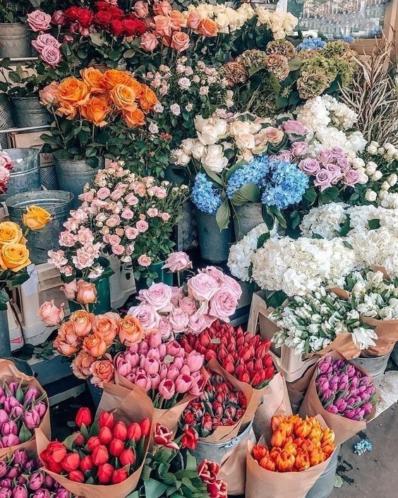 Fresh Flowers by Bunch